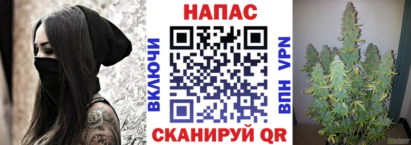 Канабис THC 21%  Купить закладки  Шатура 